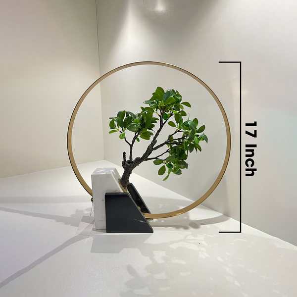 Decoration Piece T59