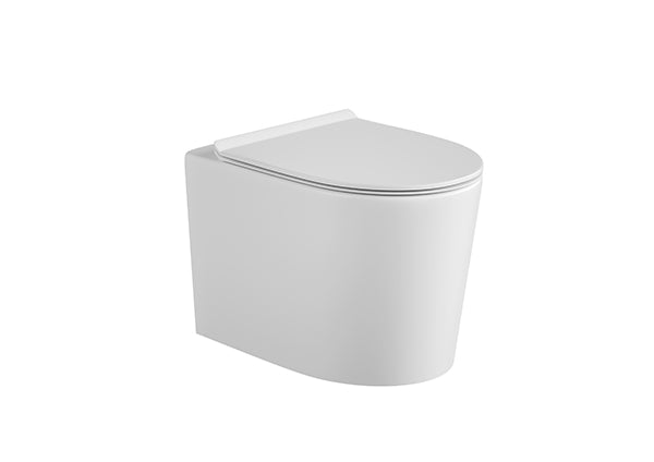 Wall-hung Toilet Neo S20CA013