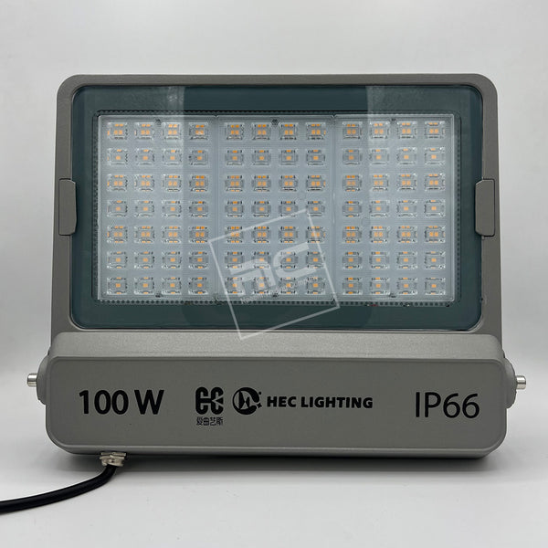 Commercial Flood Light 3000K Warm/6500K white 100Watt