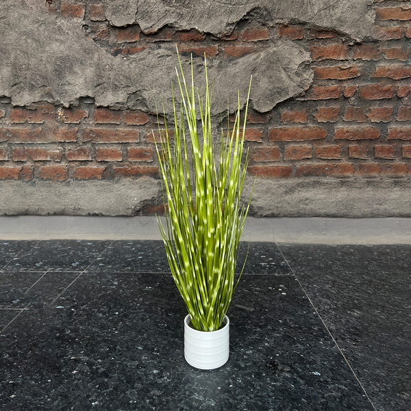 Artificial Plant-Ap19