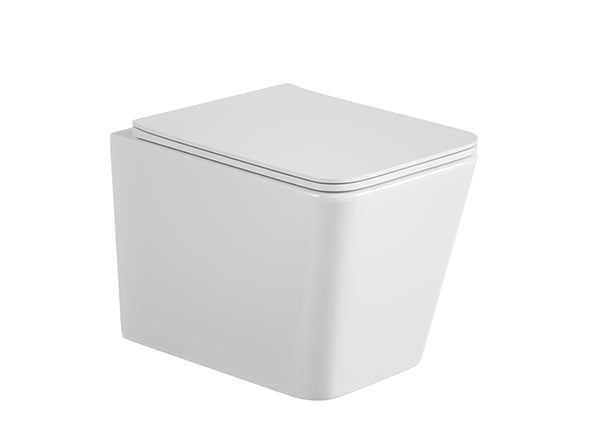 Wall-hung Toilet THE ONE  S20CA011