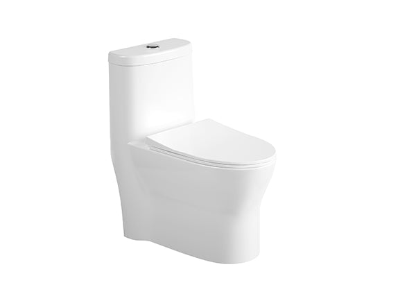 One-Piece Toilet APPOLLO S22CA212-00