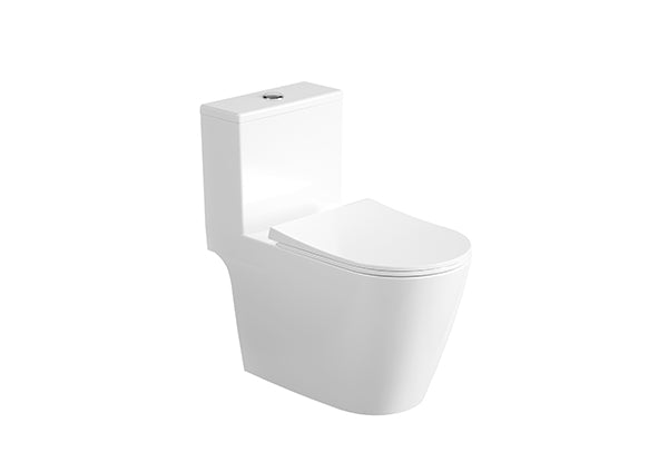 One-Piece Toilet Neo S22CA219-00