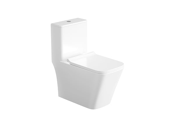 One-Piece Toilet The One S22CA220-00