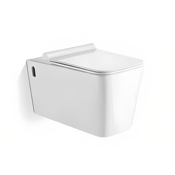 Palici Wall-hung Rimless Soft-Close Seat and Cover for Toilet WH-002